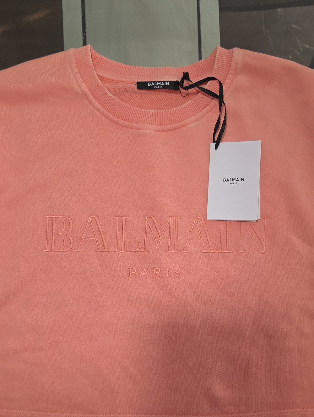 Balmain Coral Embroidered Logo Crewneck Sweatshirt